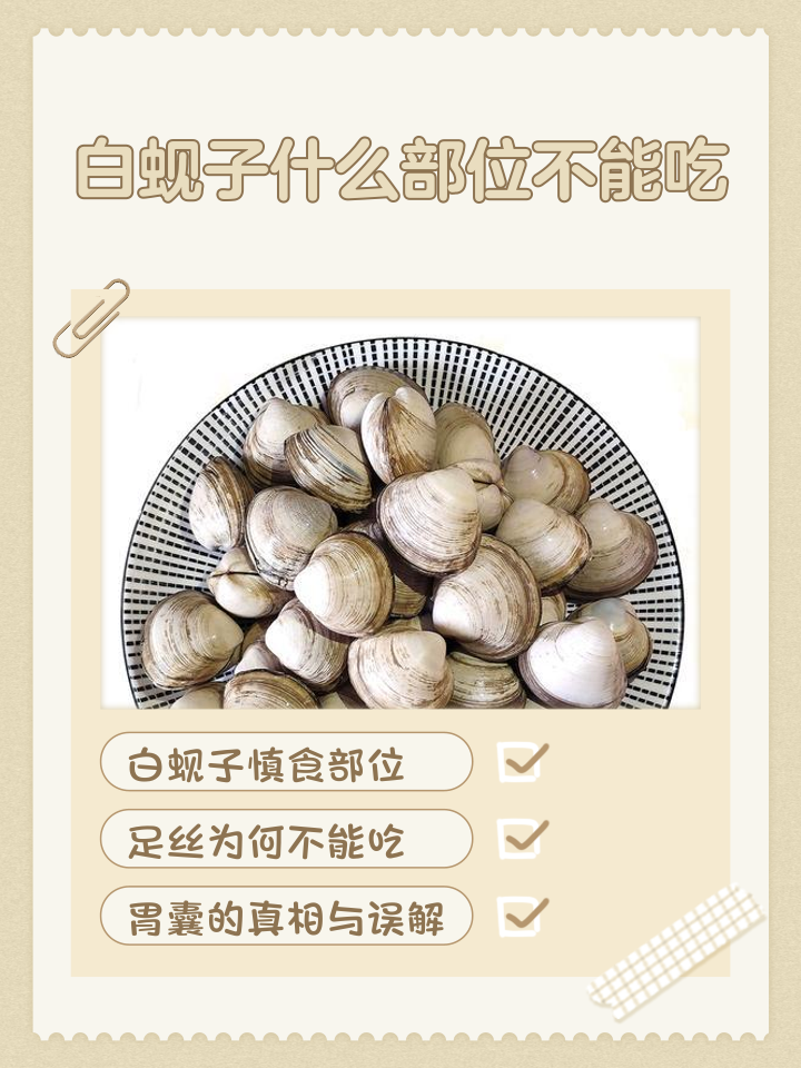 儿童为什么不能吃干贝(儿童为什么不能吃干贝粥)