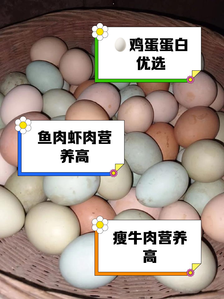 蛋白质最高的十大食物排行榜(蛋白质最高的十大食物排行榜图片) 蛋白质最高的十大食物排行榜(蛋白质最高的十大食物排行榜图片)