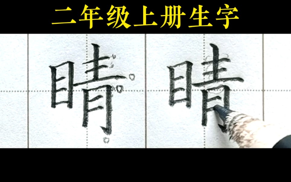 睛开头的四字成语(睛开头的四字成语有哪些)