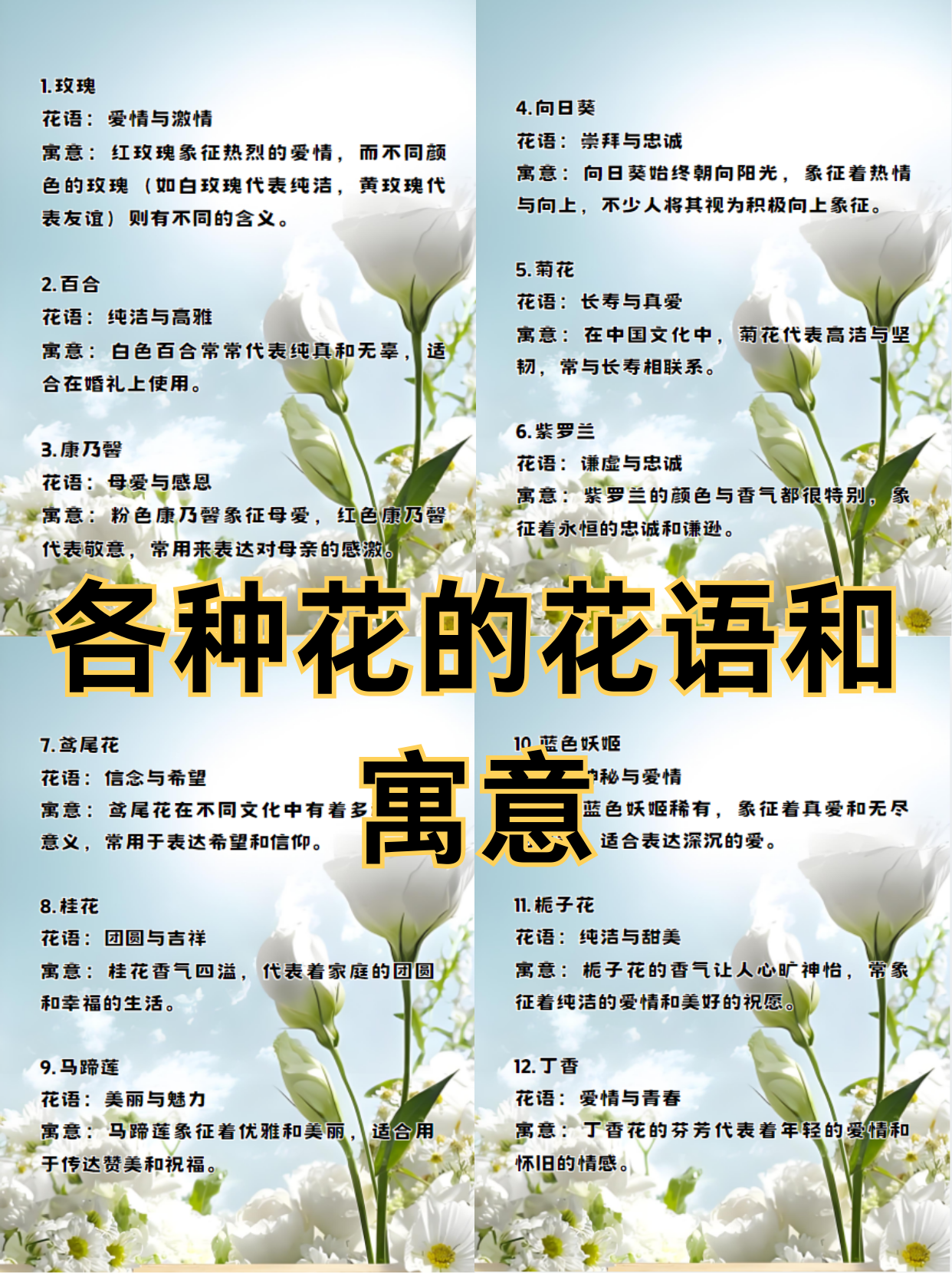 香槟玫瑰花语象征与寓意(香槟玫瑰的花语是什么,象征了什么?)