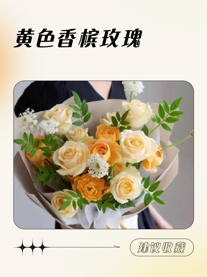 香槟玫瑰花语象征与寓意(香槟玫瑰的花语是什么,象征了什么?)